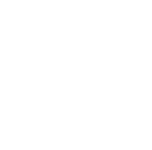SyrianAirline